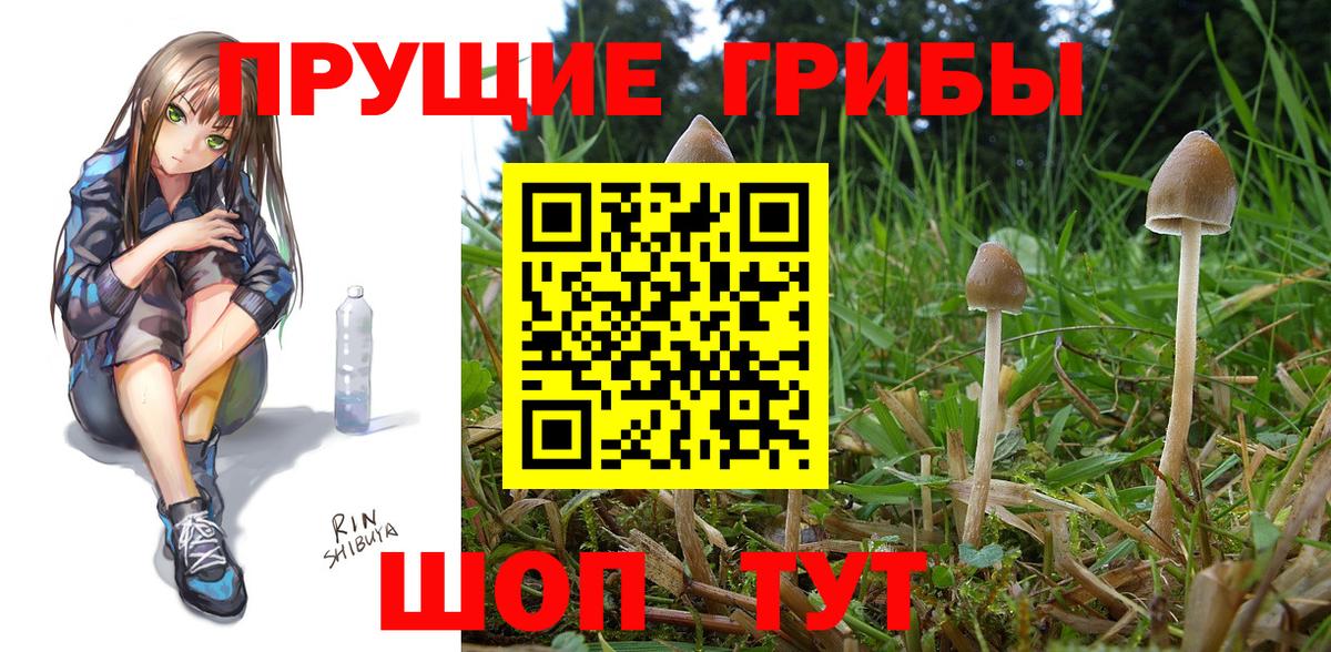 Псилоцибиновые грибы мухоморы Родники