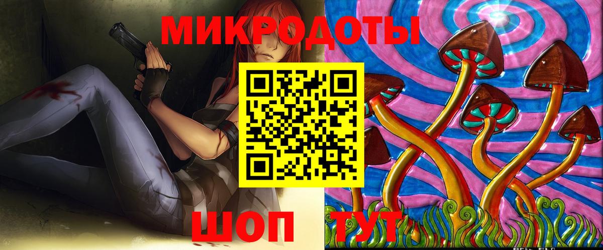 Родники  Псилоцибиновые грибы Psilocybe  Вход с VPN 